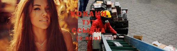 гашик Абаза