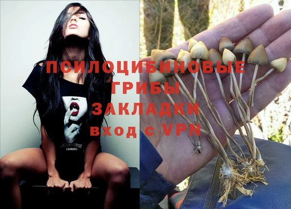 спайс Абинск