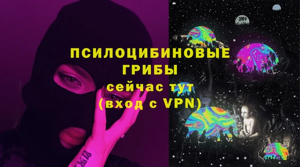 сатива Алексин