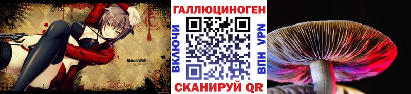 купить закладку  Нефтегорск  Галлюциногенные грибы Magic Shrooms 